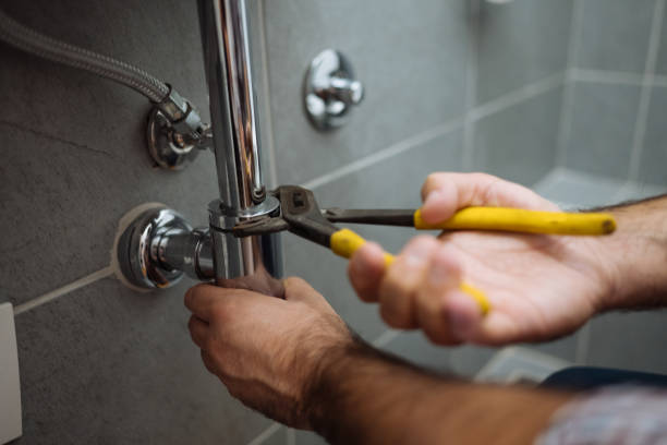 Best Local Plumber Services  in Ecru, MS